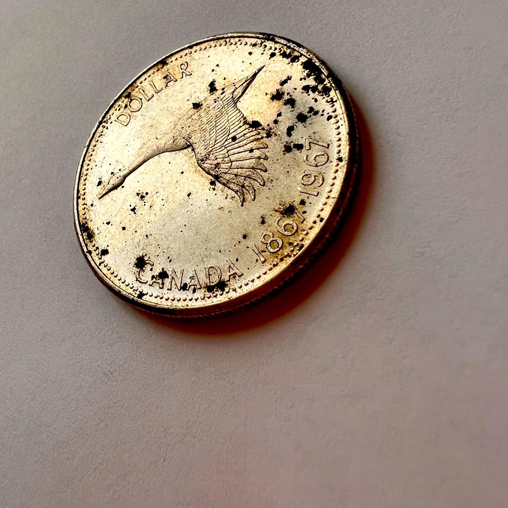 1967 Goose Canadian 1$ 80% Silver